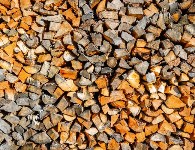 What Is Biomass? How is it Made?