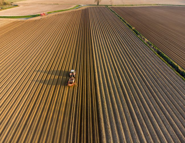 What is Food Technology? Complete Guide