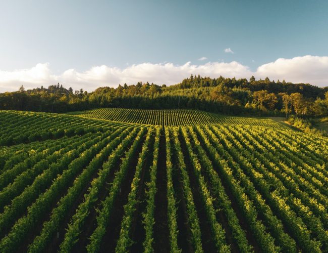 What is Agricultural Automation?