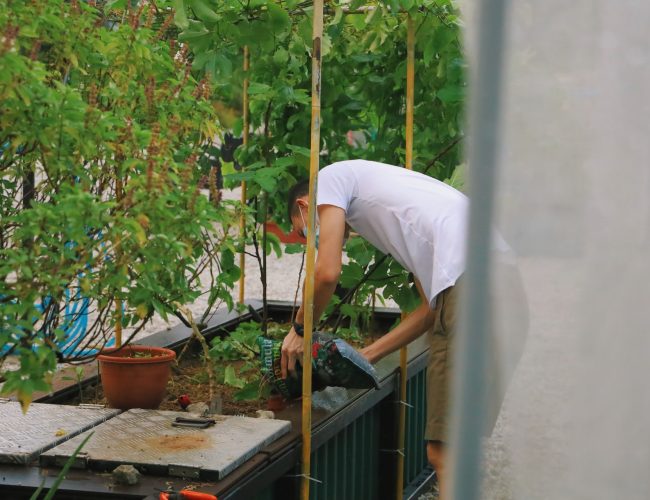 What is Urban Farming? Complete Guide