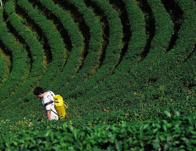 What is Hill farming? Complete Guide