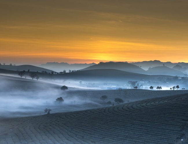 What is Soil Degradation?